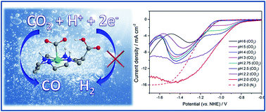 Graphical abstract: A highly active nickel electrocatalyst shows excellent selectivity for CO2 reduction in acidic media