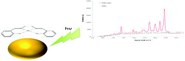 Graphical abstract: Detection of potentially toxic metals by SERS using salen complexes