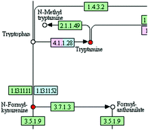 Graphical abstract: Secondary electrospray ionization coupled to high-resolution mass spectrometry reveals tryptophan pathway metabolites in exhaled human breath