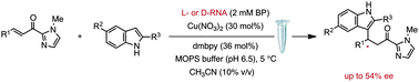 Graphical abstract: Expanding biohybrid-mediated asymmetric catalysis into the realm of RNA