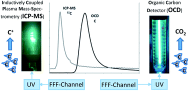 Graphical abstract: Field flow fractionation online with ICP-MS as novel approach for the quantification of fine particulate carbon in stream water samples and soil extracts