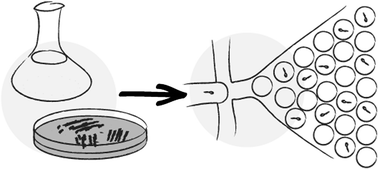 Graphical abstract: Droplet microfluidics for microbiology: techniques, applications and challenges