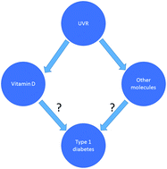 Graphical abstract: Are low sun exposure and/or vitamin D risk factors for type 1 diabetes?