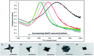 Graphical abstract: Facile, tunable, and SERS-enhanced HEPES gold nanostars