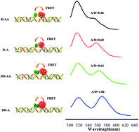 Graphical abstract: MnO2 nanosheet mediated “DD–A” FRET binary probes for sensitive detection of intracellular mRNA