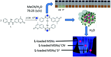 Graphical abstract: A new class of silica-supported chromo-fluorogenic chemosensors for anion recognition based on a selenourea scaffold