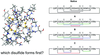 Graphical abstract: Pinpointing disulfide connectivities in cysteine-rich proteins