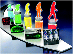 Graphical abstract: Fluorescent chemosensors: the past, present and future