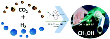 Graphical abstract: Carbon dioxide-to-methanol single-pot conversion using a C-scorpionate iron(ii) catalyst