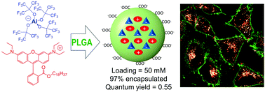 Graphical abstract: An aluminium-based fluorinated counterion for enhanced encapsulation and emission of dyes in biodegradable polymer nanoparticles