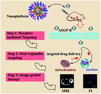 Graphical abstract: Amphiphilic copolymer and TPGS mixed magnetic hybrid micelles for stepwise targeted co-delivery of DOX/TPP–DOX and image-guided chemotherapy with enhanced antitumor activity in liver cancer