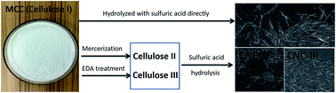 Graphical abstract: Research on cellulose nanocrystals produced from cellulose sources with various polymorphs