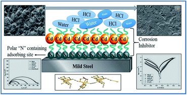 Graphical abstract: Targeted synthesis of cadmium(ii) Schiff base complexes towards corrosion inhibition on mild steel