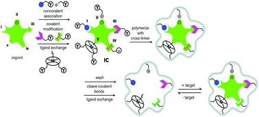 Graphical abstract: Molecularly imprinted polymers’ application in pesticide residue detection