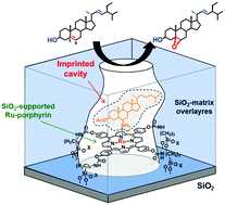 Graphical abstract: Chemoselective epoxidation of cholesterol derivatives on a surface-designed molecularly imprinted Ru–porphyrin catalyst