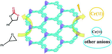 Graphical abstract: A two-fold interpenetrated zinc–organic framework: luminescence detection of CrO42−/Cr2O72− and chemical conversion of CO2