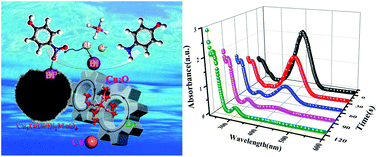 Graphical abstract: A highly selective conversion of toxic nitrobenzene to nontoxic aminobenzene by Cu2O/Bi/Bi2MoO6