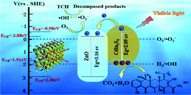 Graphical abstract: A novel 3D/2D CdIn2S4 nano-octahedron/ZnO nanosheet heterostructure: facile synthesis, synergistic effect and enhanced tetracycline hydrochloride photodegradation mechanism