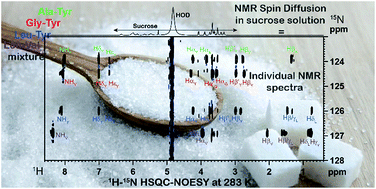 Graphical abstract: Polar mixture analysis by NMR under spin diffusion conditions in viscous sucrose solution and agarose gel