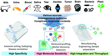 Graphical abstract: Microfluidic engineering of exosomes: editing cellular messages for precision therapeutics