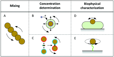 Graphical abstract: Rotating magnetic particles for lab-on-chip applications – a comprehensive review