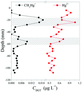 Graphical abstract: Development of a new diffusive gradient in the thin film (DGT) method for the simultaneous measurement of CH3Hg+ and Hg2+