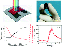 Graphical abstract: A lead-free two-dimensional perovskite for a high-performance flexible photoconductor and a light-stimulated synaptic device