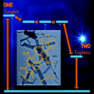 Graphical abstract: Singlet fission in self-assembled PDI nanocrystals