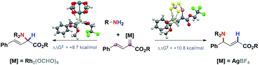 Graphical abstract: Silver-catalyzed regioselective hydroamination of alkenyl diazoacetates to synthesize γ-amino acid equivalents