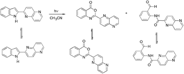 Graphical abstract: Photoinduced oxidation of an indole derivative: 2-(1′H-indol-2′-yl)-[1,5]naphthyridine