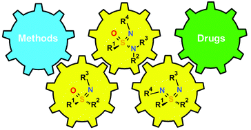 Graphical abstract: Neglected sulfur(vi) pharmacophores in drug discovery: exploration of novel chemical space by the interplay of drug design and method development