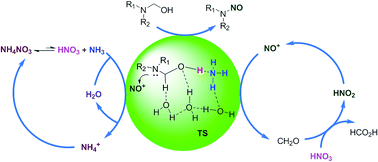 Graphical abstract: A combined experimental and DFT mechanistic study for the unexpected nitrosolysis of N-hydroxymethyldialkylamines in fuming nitric acid