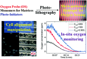 Graphical abstract: Photo-patterned oxygen sensing films based on Pt porphyrin for controlling cell growth and studying metabolism