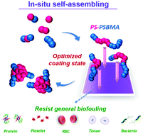 Graphical abstract: Surface zwitterionization on versatile hydrophobic interfaces via a combined copolymerization/self-assembling process