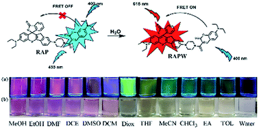 Graphical abstract: A FRET-based ratiometric fluorescent probe for sensing trace water in organic solvents