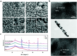 Graphical abstract: Dual light-induced in situ antibacterial activities of biocompatibleTiO2/MoS2/PDA/RGD nanorod arrays on titanium