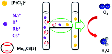 Graphical abstract: Decamethylcucurbit[5]uril based supramolecular assemblies as efficient electrocatalysts for the oxygen reduction reaction