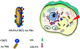 Graphical abstract: Gold nanorods with a noncovalently tailorable surface for multi-modality image-guided chemo-photothermal cancer therapy