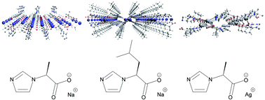 Graphical abstract: Synthesis and structural characterization of homochiral coordination polymers with imidazole-based monocarboxylate ligands