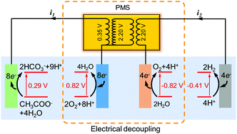 Graphical abstract: Electrical decoupling of microbial electrochemical reactions enables spontaneous H2 evolution