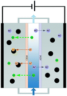 Graphical abstract: Effective removal and selective capture of copper from salty solution in flow electrode capacitive deionization