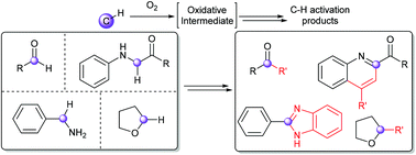 Graphical abstract: Recent advances in metal-free aerobic C–H activation