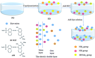 Graphical abstract: Removal characteristics of two anionic dyes by a polyethylenimine/poly(N,N-dimethylaminoethyl methacrylate) gel