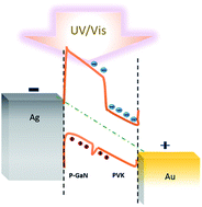 Graphical abstract: Optimized performance III-nitride-perovskite-based heterojunction photodetector via asymmetric electrode configuration