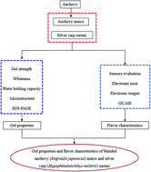 Graphical abstract: Gel properties and flavor characteristics of blended anchovy (Engraulis japonicus) mince and silver carp (Hypophthalmichthys molitrix) surimi