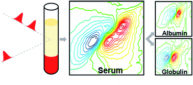 Graphical abstract: Measuring proteins in H2O with 2D-IR spectroscopy