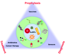 Graphical abstract: Surface chemistry of gold nanoparticles for health-related applications