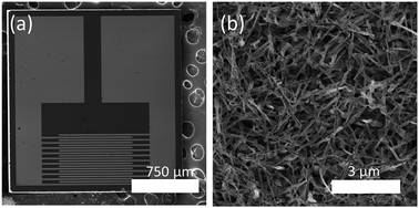 Graphical abstract: Highly efficient hydrogen sensors based on Pd nanoparticles supported on boron nitride coated ZnO nanowires