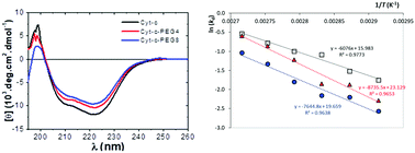 Graphical abstract: PEGylation as an efficient tool to enhance cytochrome c thermostability: a kinetic and thermodynamic study