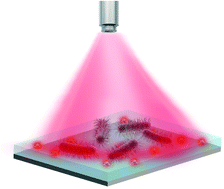 Graphical abstract: Photothermal bactericidal surfaces: killing bacteria using light instead of biocides